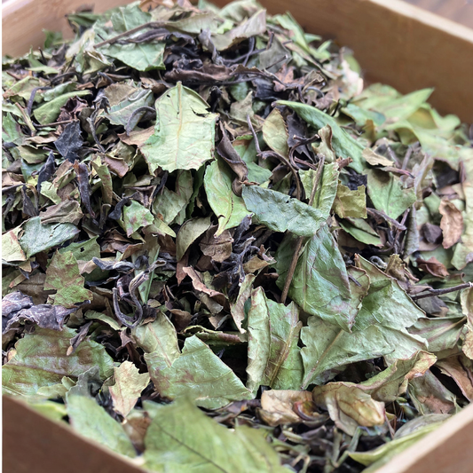2024 Shoumei White Tea - Equals Tea 